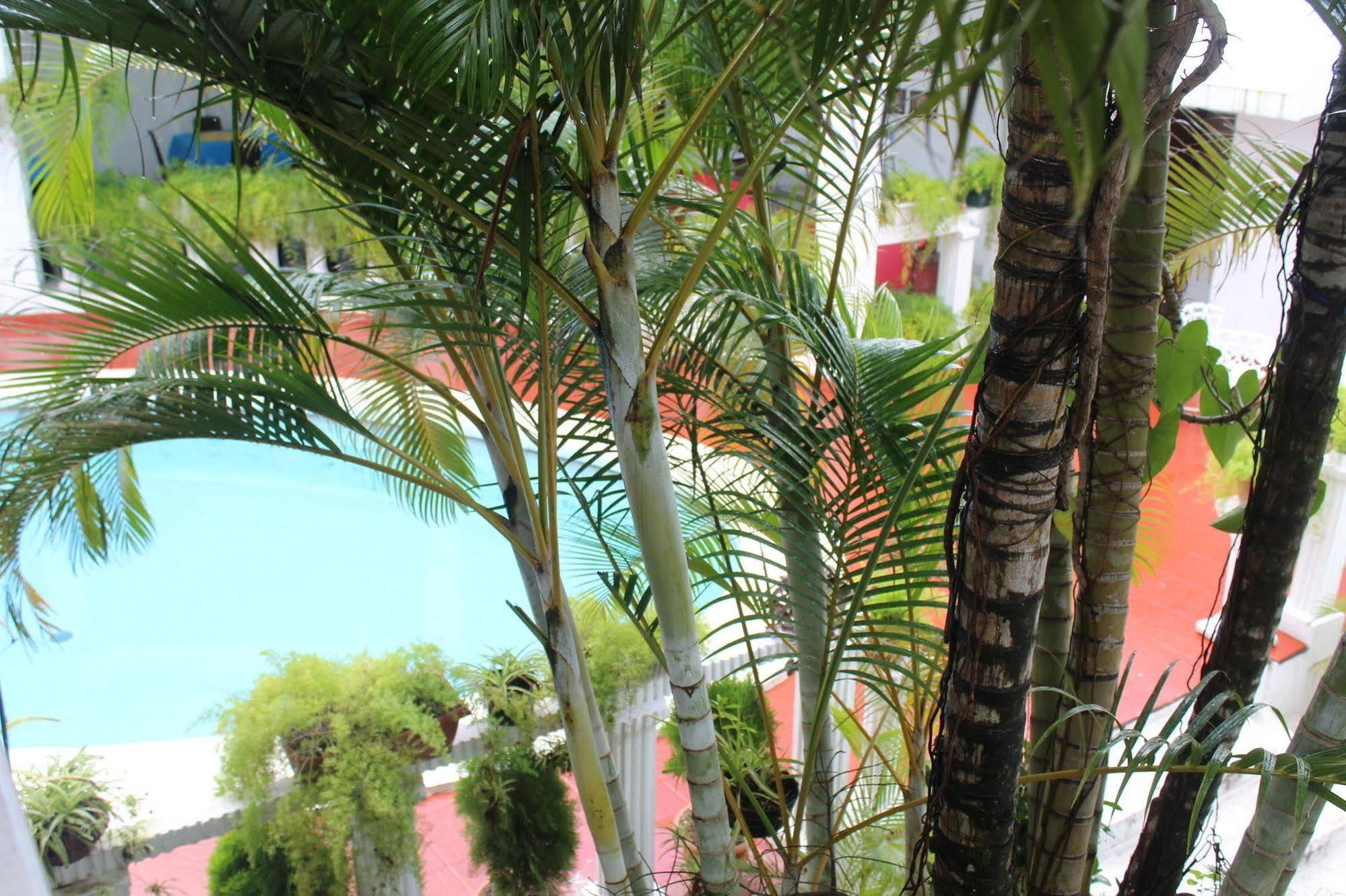 Hotel Grecia Real San Salvador Bagian luar foto