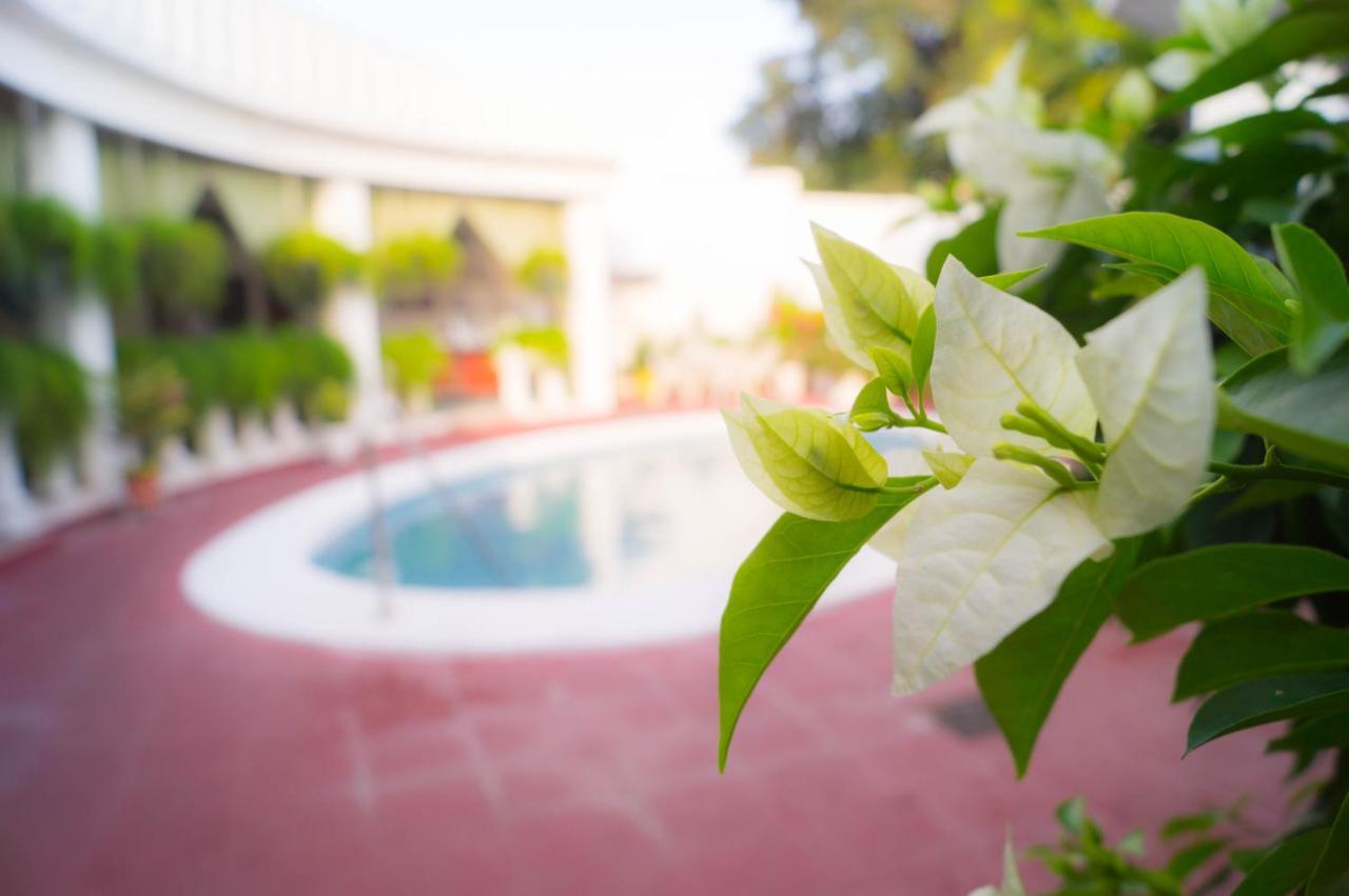 Hotel Grecia Real San Salvador Bagian luar foto